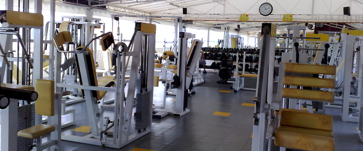 Krafttraining und Muskelaufbau