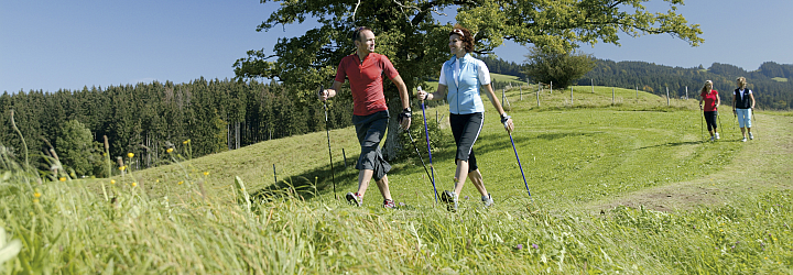Nordic Walking, Abnehmen