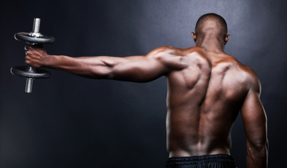 Muskelaufbau Rücken