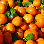 Mandarinen für gesunde Ernährung